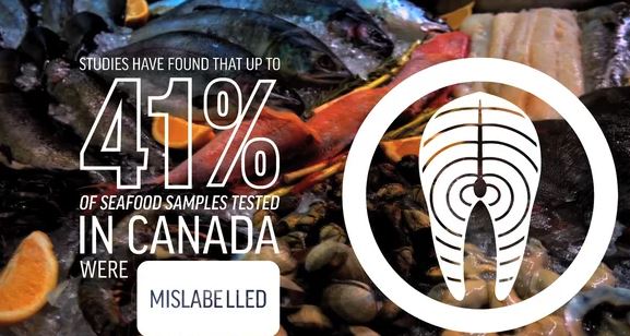 Oceana Canada Executive Director Writes Open Letter To Raise Seafood Fraud Awareness